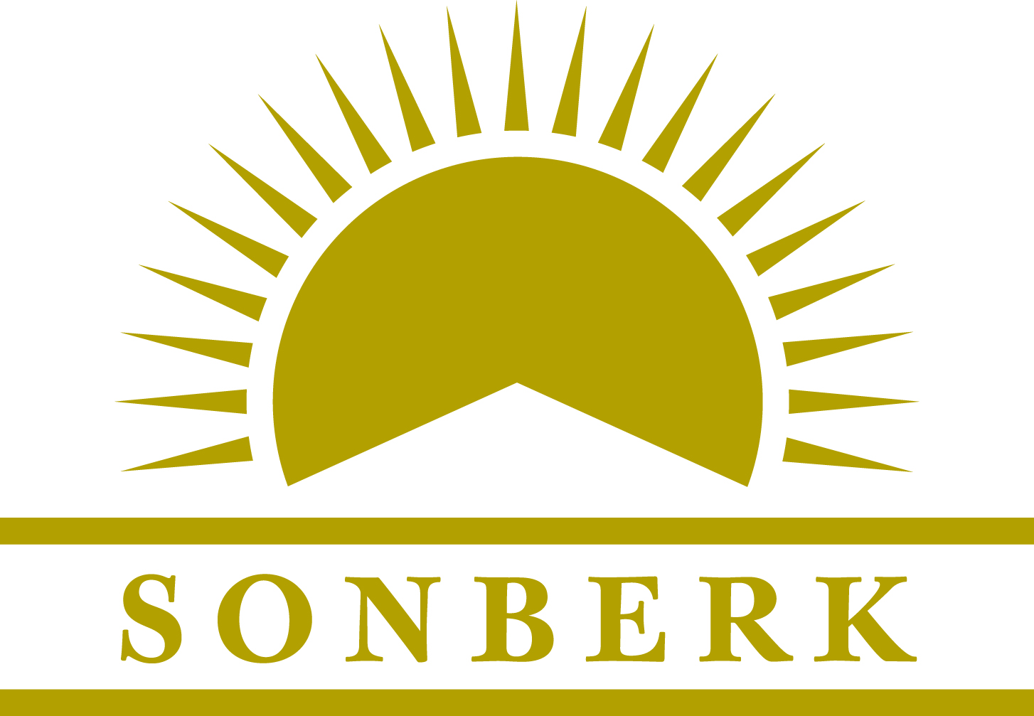 sonberk logo 2